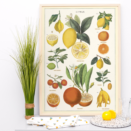 Grande affiche - When life gives you lemons...