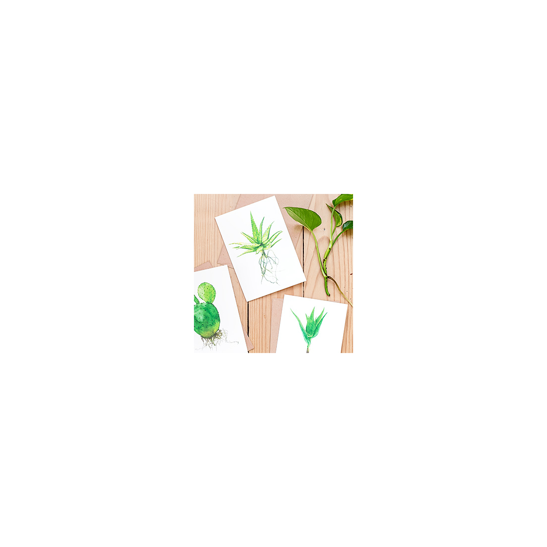 Carte - Cactus et succulente aquarelle