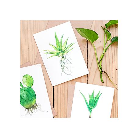 Carte - Cactus et succulente aquarelle