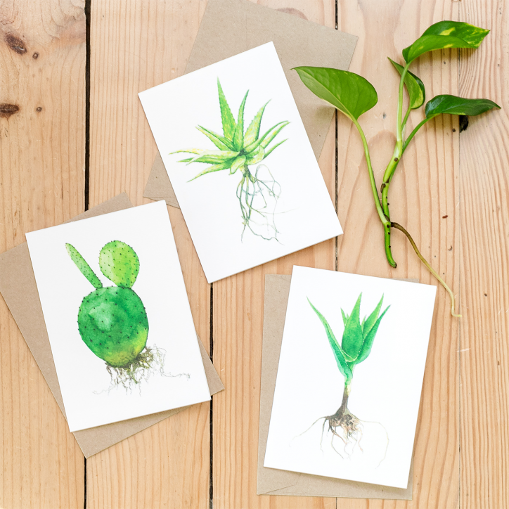 Carte - Cactus et succulente aquarelle