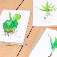 Carte - Cactus et succulente aquarelle