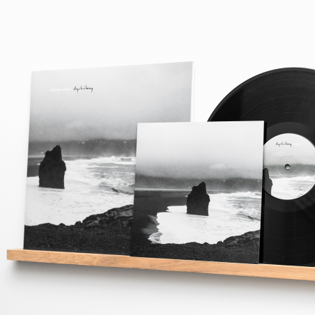 Disque vinyle - Dyrhólaey (Thomas Méreur)