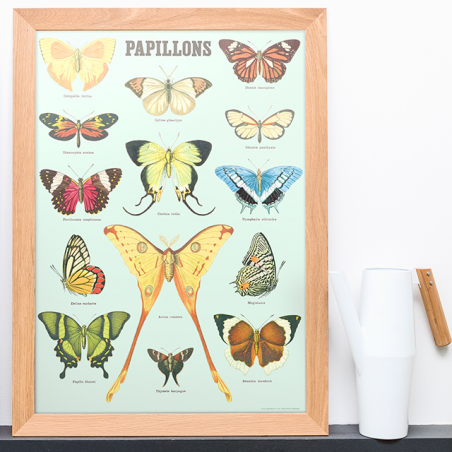 Grande affiche - Papillons (v.2)
