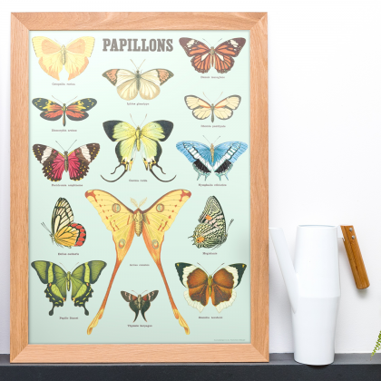 Grande affiche - Papillons (v.2)