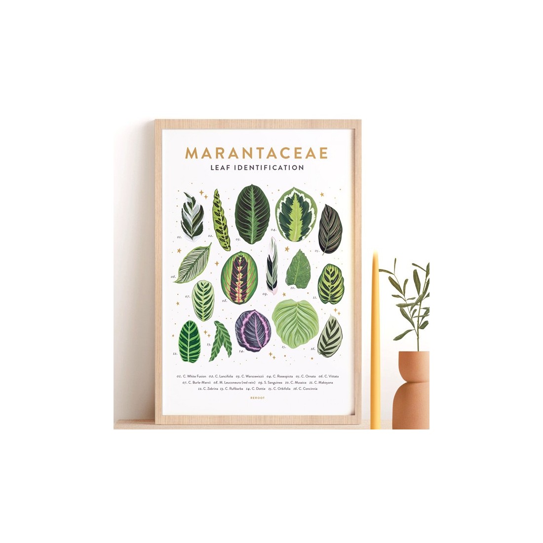 Art print - Marantacaea