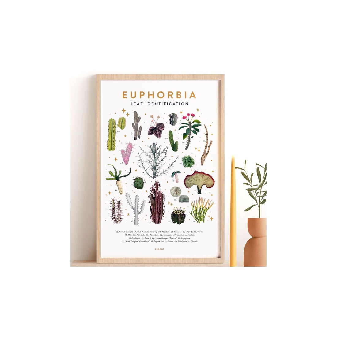 Art print - Euphorbia