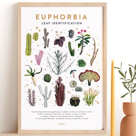 Affiche - Euphorbia