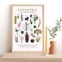 Art print - Euphorbia