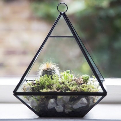 Black pyramid terrarium
