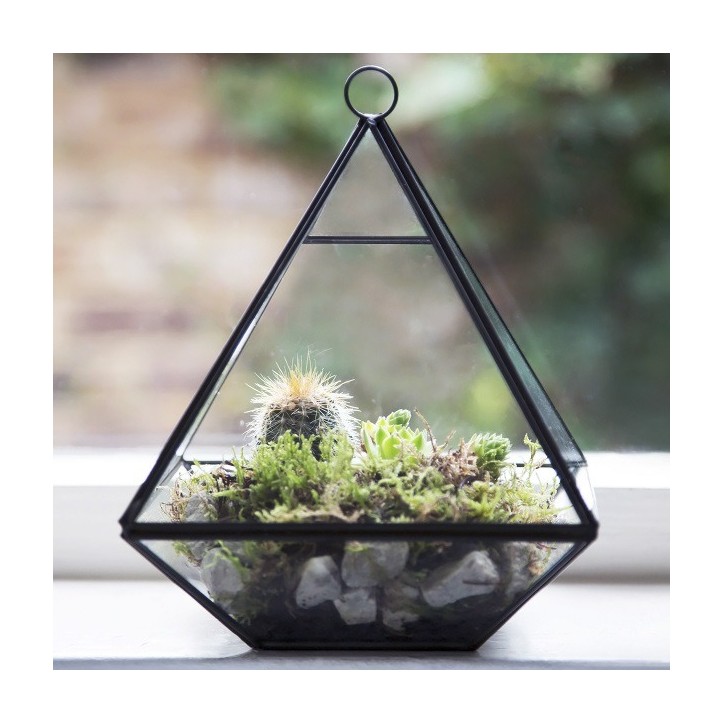Black pyramid terrarium