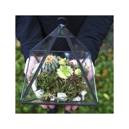 Black pyramid terrarium