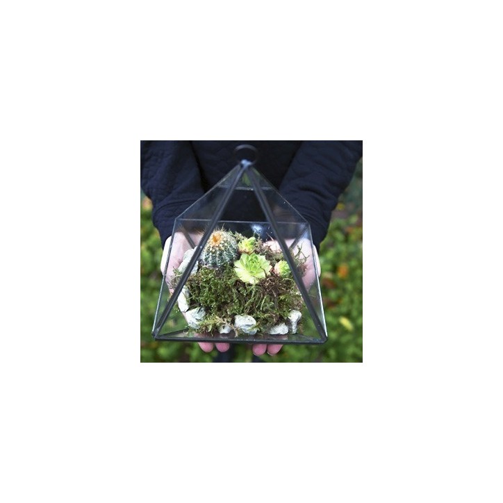 Black pyramid terrarium