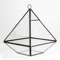 Black pyramid terrarium