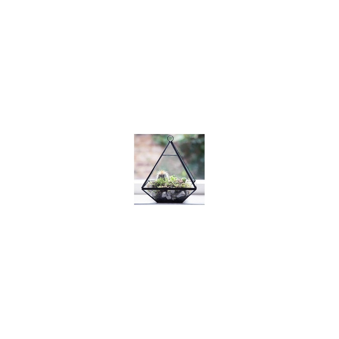 Black pyramid terrarium