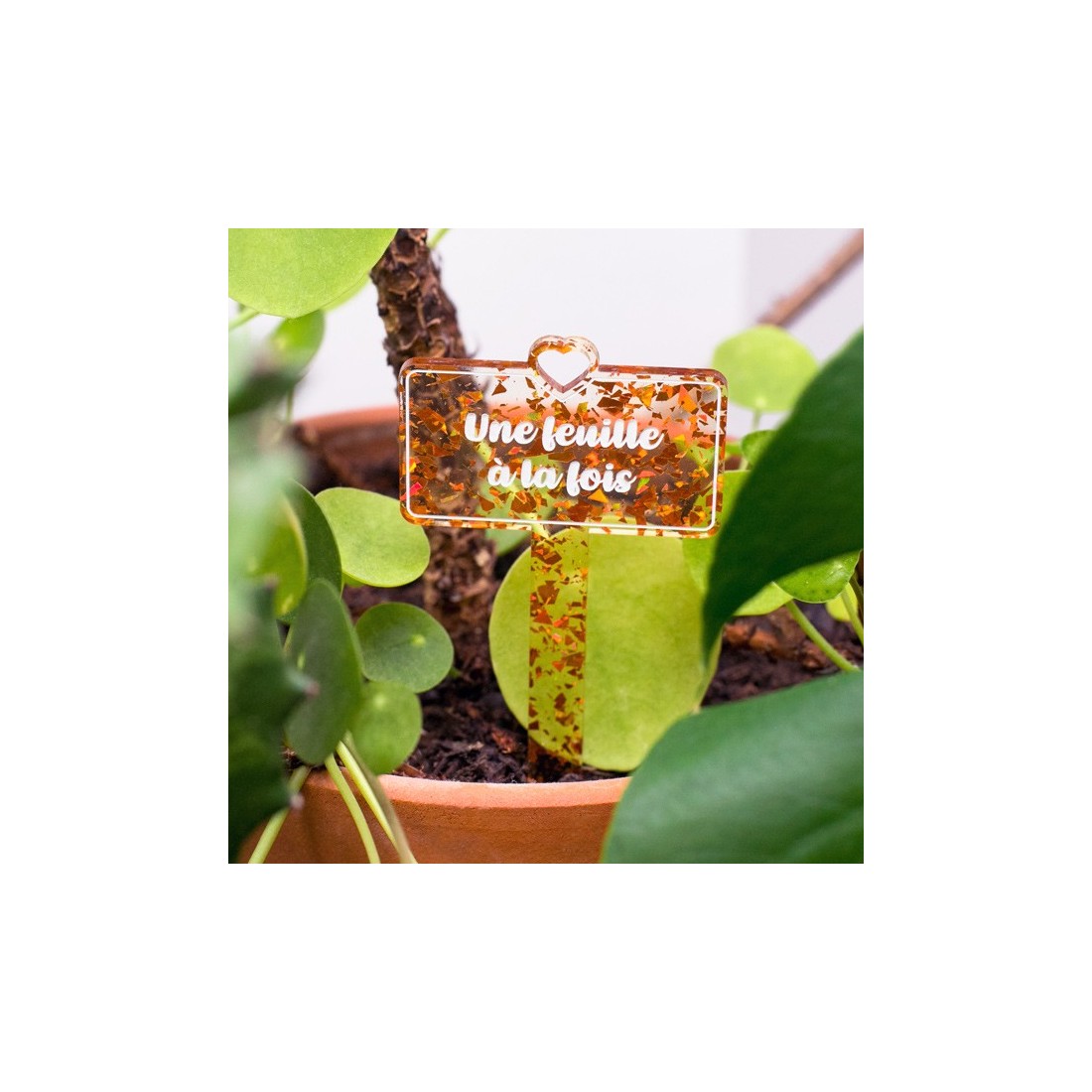 Pic à plante - Une feuille à la fois