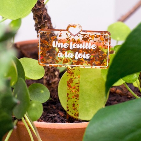 Pic à plante - Une feuille à la fois