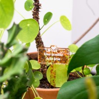 Pic à plante - Une feuille à la fois