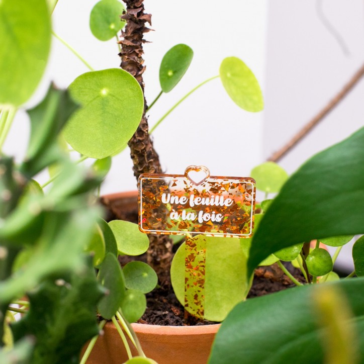 Pic à plante - Une feuille à la fois