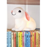 Baby rabbit night