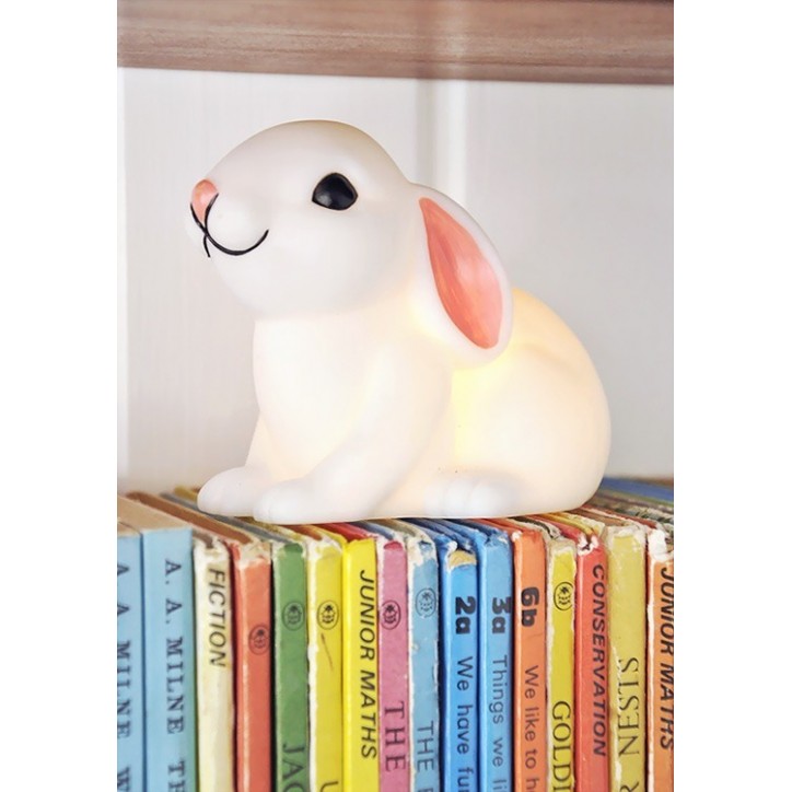 Baby rabbit night
