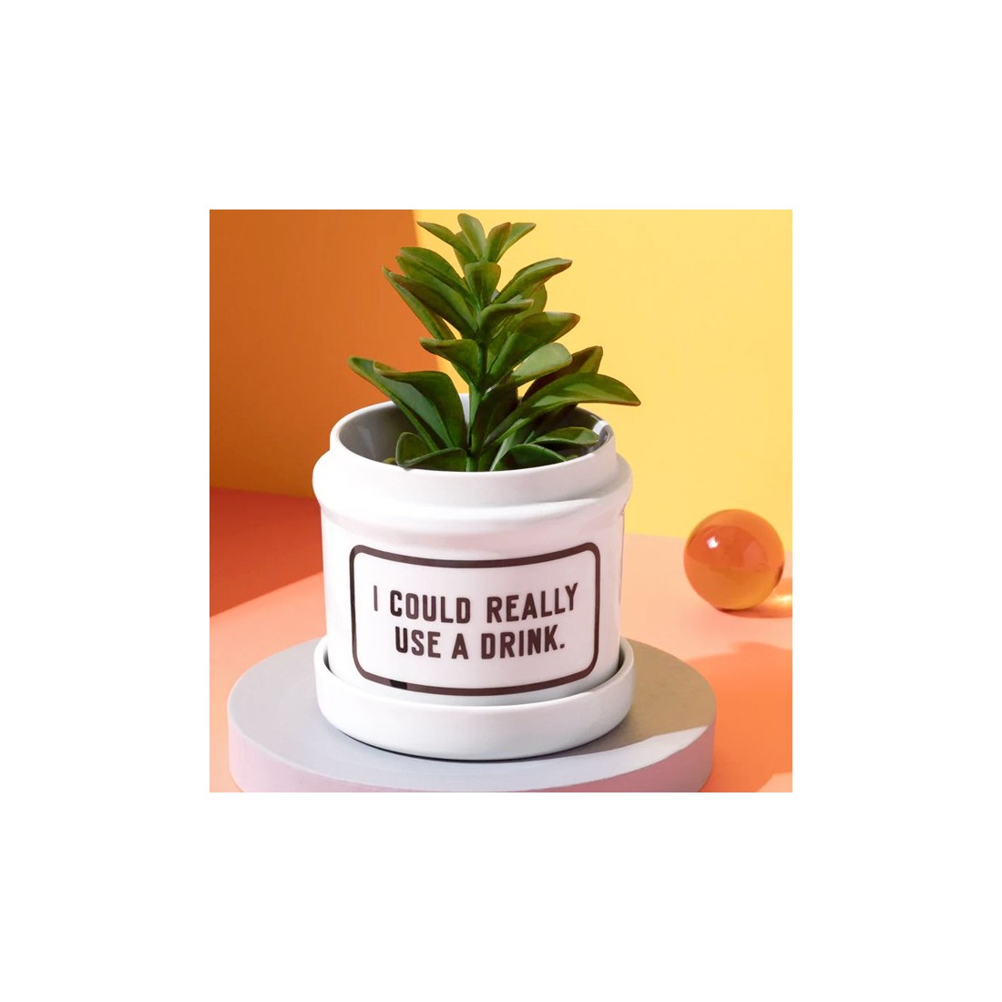 Cache-pot - I could really use a drink Cache-pot - I could really use a drink