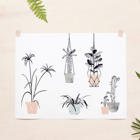 Little jungle