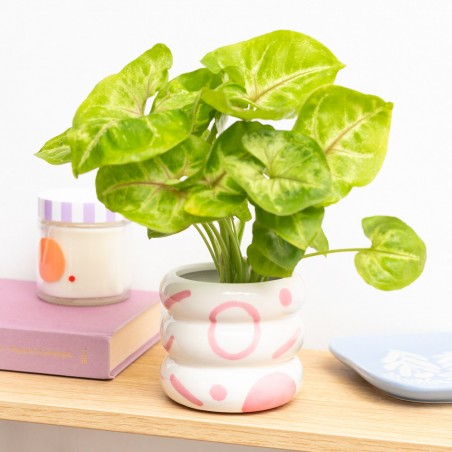 Planter - Lia (pink)