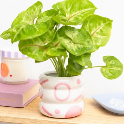 Cache-pot - Lia (rose)