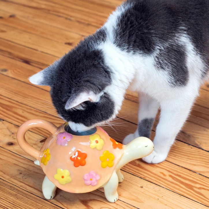 Watering can - Tortoise