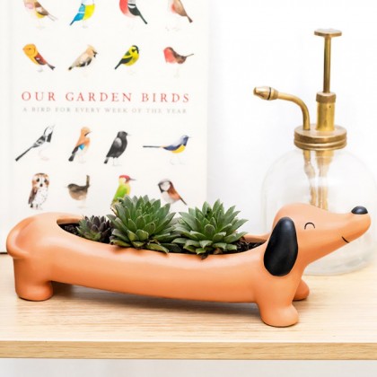 Pot pour plante - Daisy, le teckel