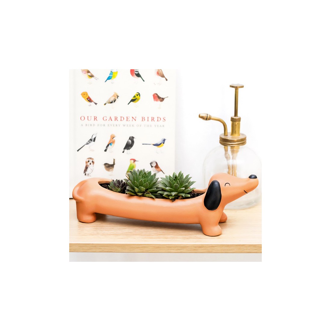 Pot pour plante - Daisy, le teckel