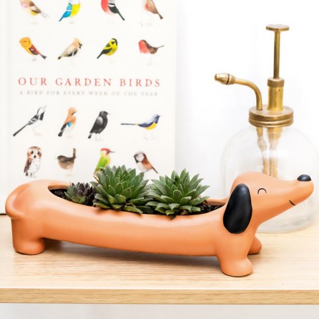 Planter - Daisy the dashsund