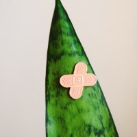 Set de décos pour plante - Plant magnets (pansements)