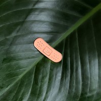 Set de décos pour plante - Plant magnets (pansements)