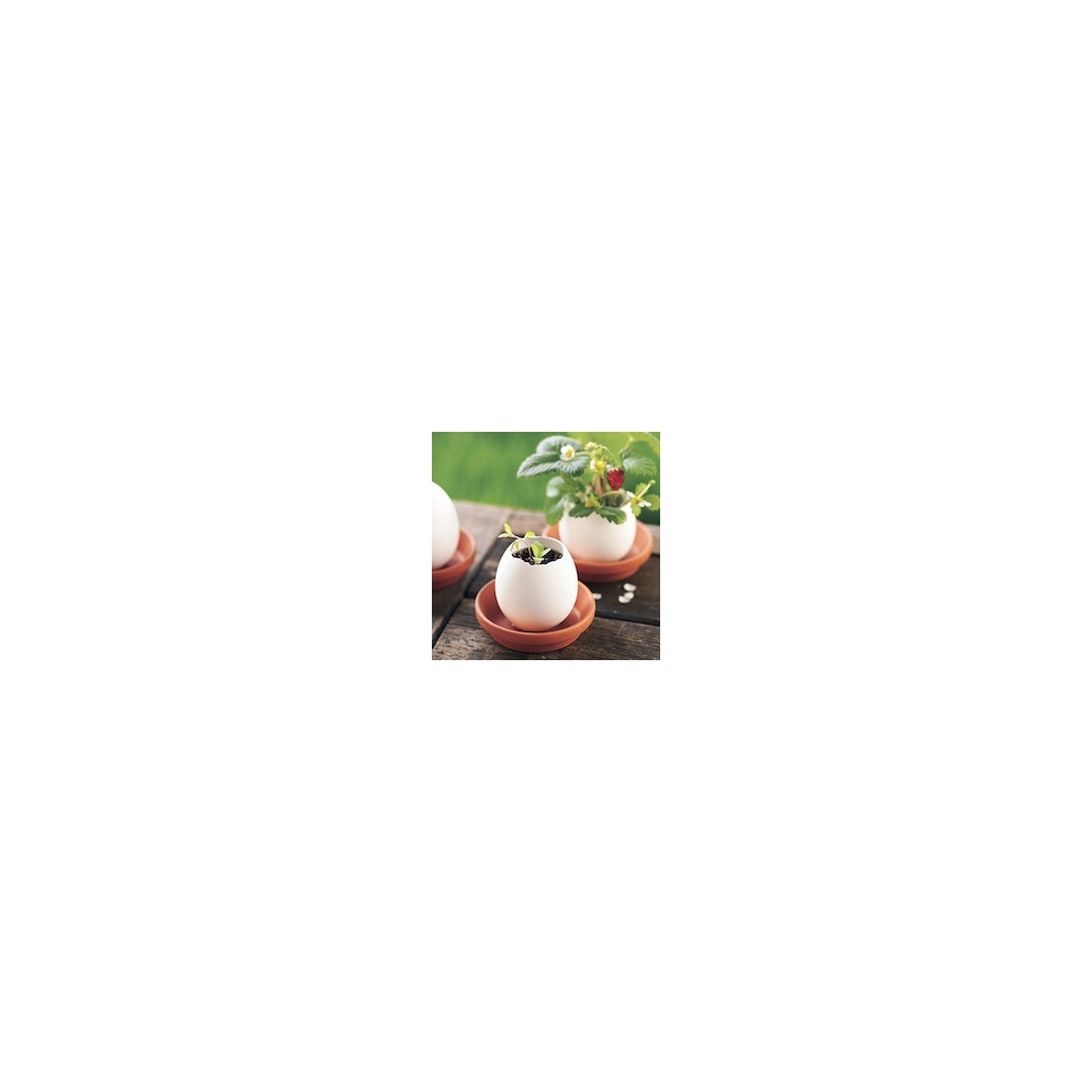 Eggling - wild strawberry
