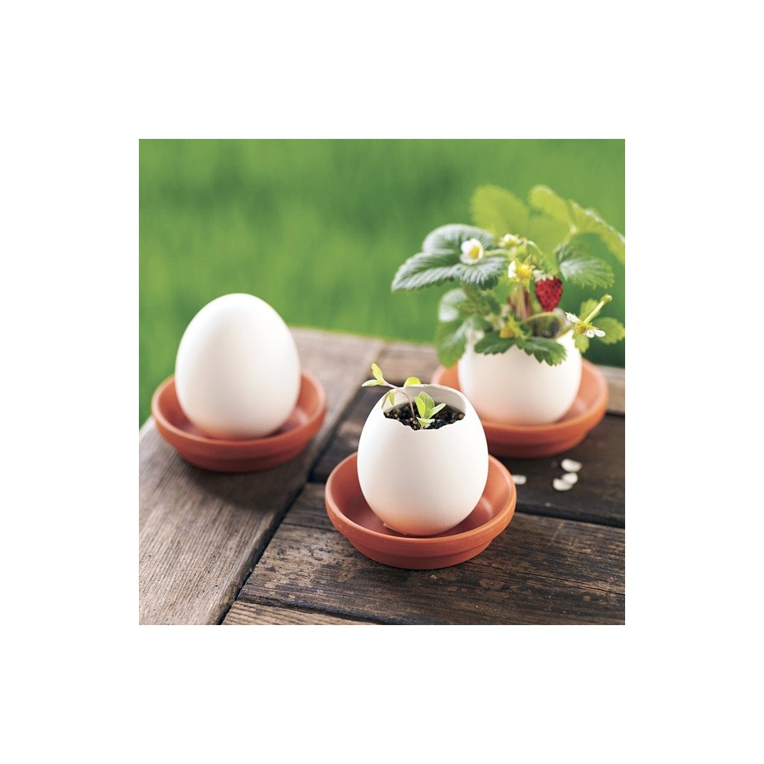 Eggling - wild strawberry