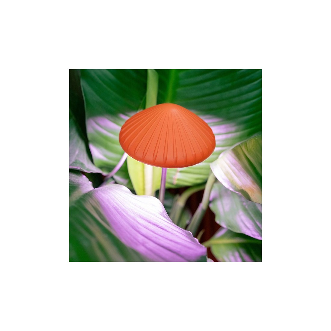 Lampe de croissance LED horticole - Champignon
