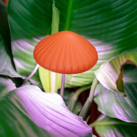 Plant grow LED light - Mushroom