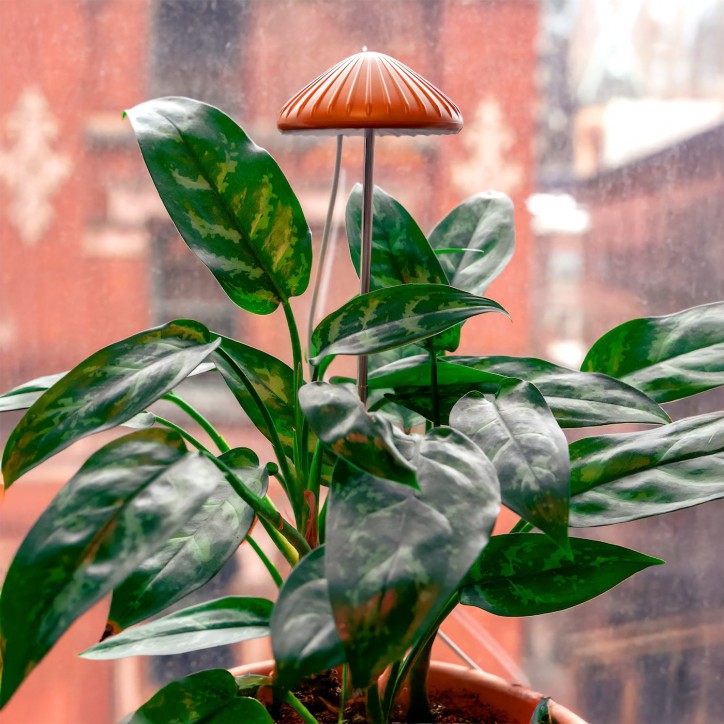 Lampe de croissance LED horticole - Champignon