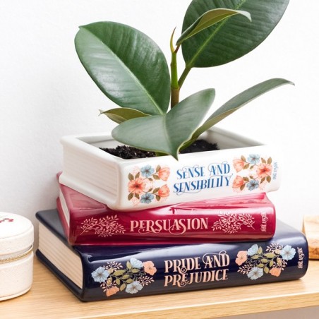 Cache-pot livres - Jane Austen