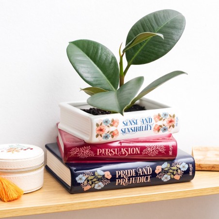 Cache-pot livres - Jane Austen