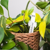 Marqueurs pour plante Moomin - Hattifatteners