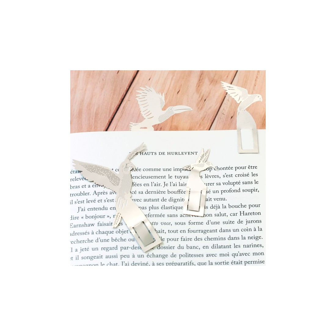 Set de marque-pages - Oiseaux tropicaux
