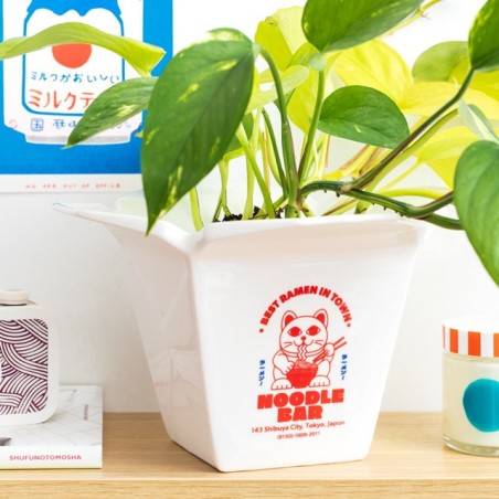 Cache-pot / vase - Ramen