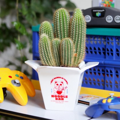 Cache-pot / vase - Ramen
