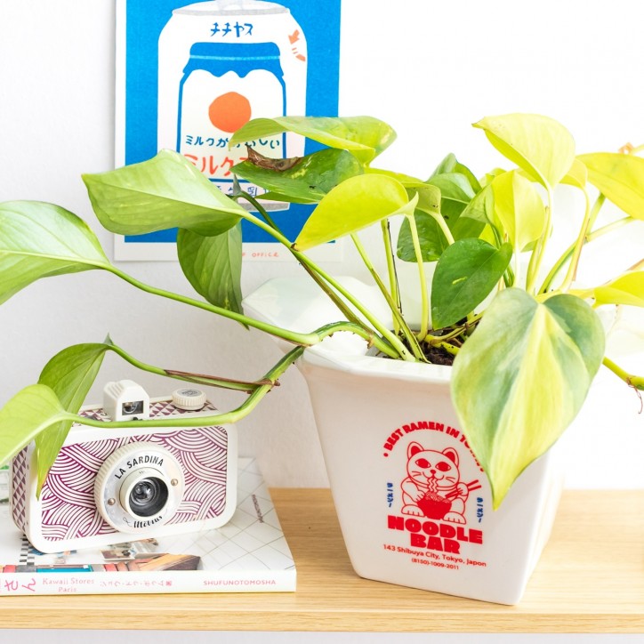 Cache-pot / vase - Ramen - Cache-pot plante Cadeau original