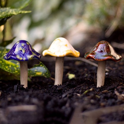 Décoration pour plante - Champignon