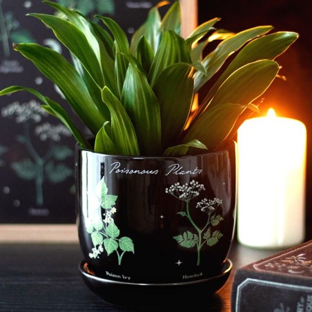 Planter - Library of poisonous plants