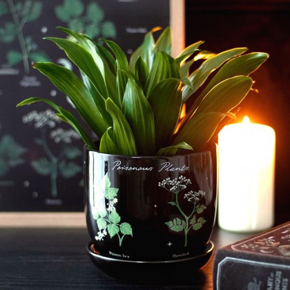 Planter - Library of poisonous plants