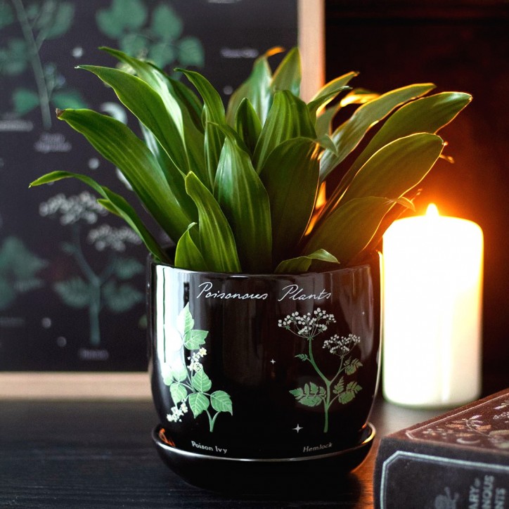 Planter - Library of poisonous plants